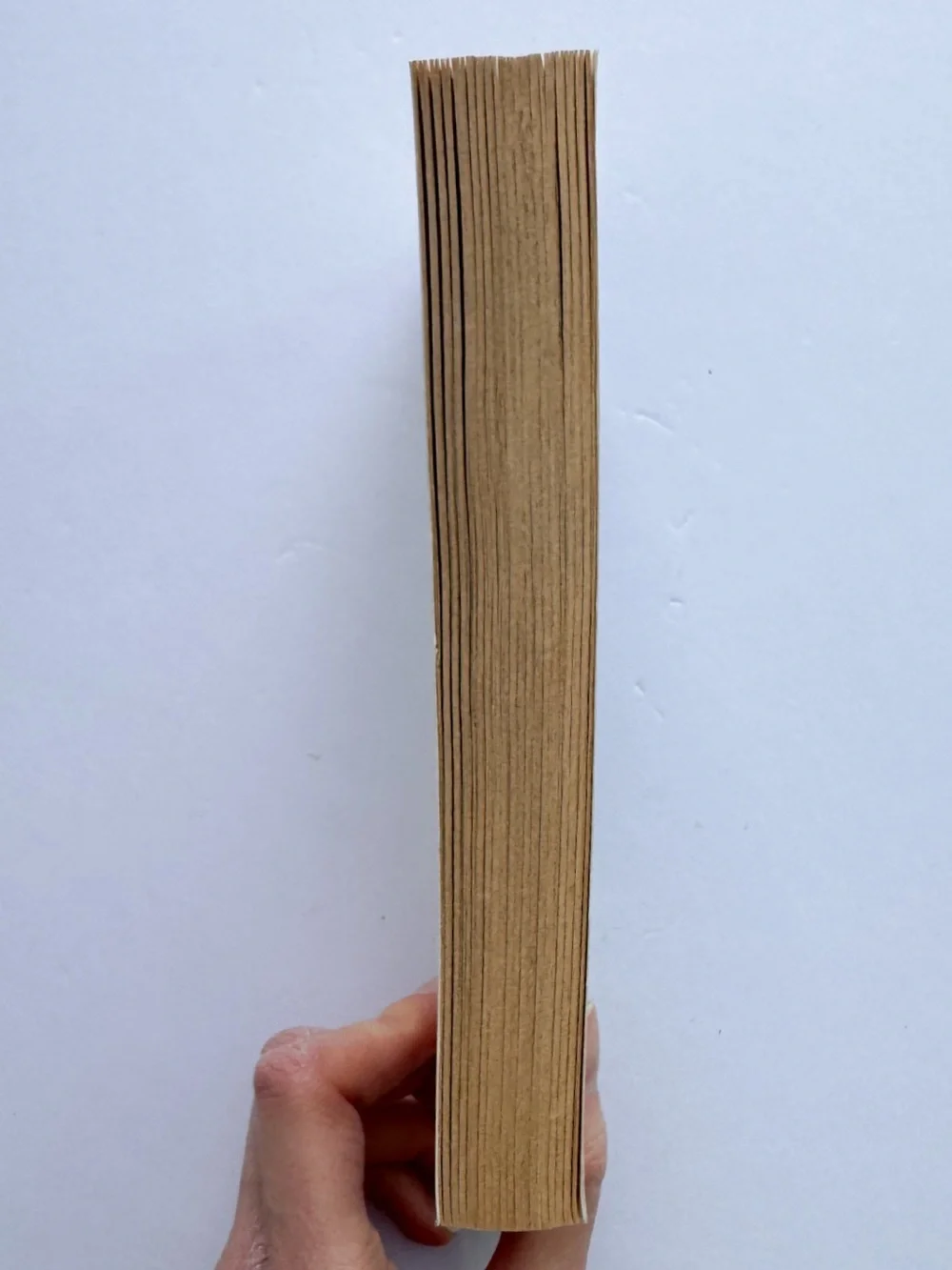 Vintage 1981 Skeletons Glendon Swarthout Paperback Book - Picture 6 of 7